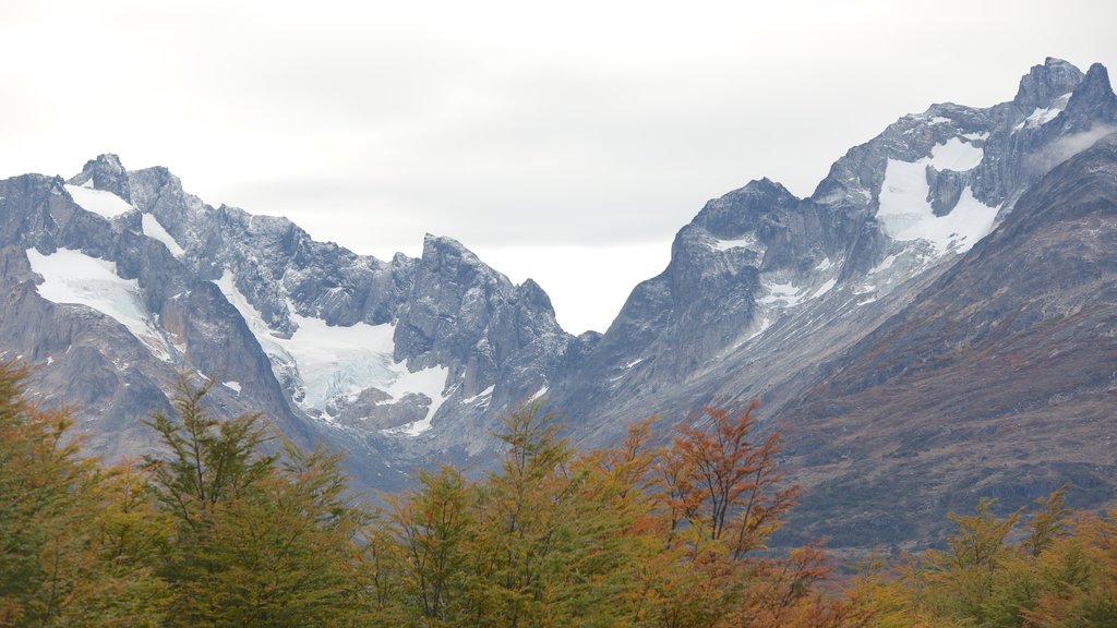 Parque Nacional Tierra del Fuego mostrando nieve y montañas