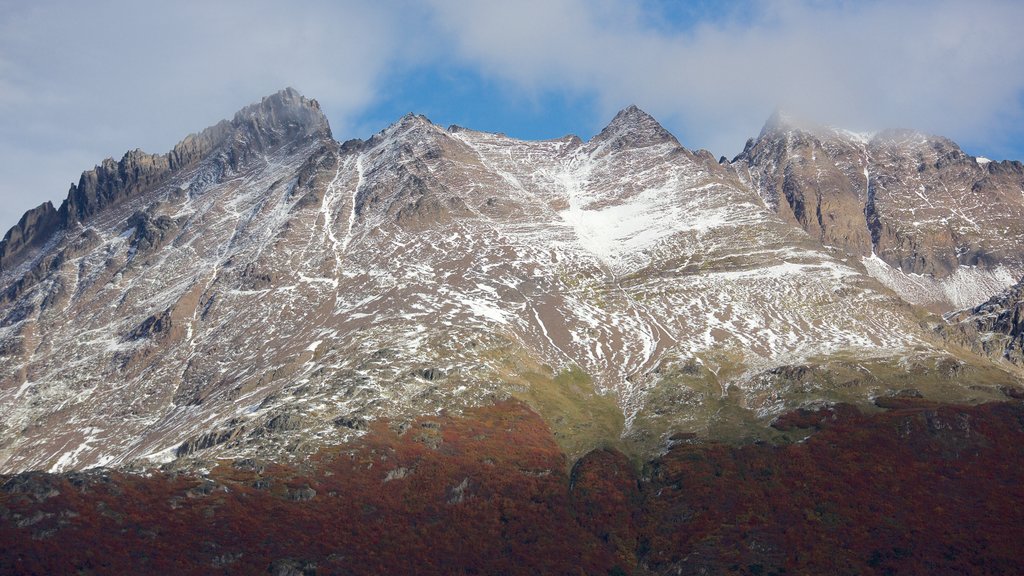 Parque Nacional Tierra del Fuego que incluye montañas