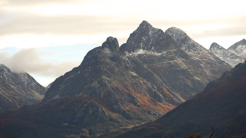 Parc national de la Tierra del Fuego montrant montagnes