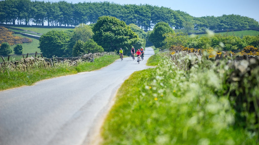 Peak District which includes tranquil scenes and mountain biking as well as a small group of people