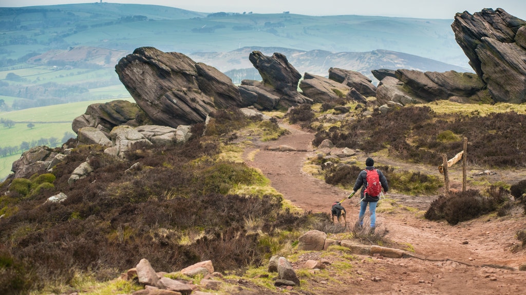 Peak District showing cuddly or friendly animals, tranquil scenes and hiking or walking