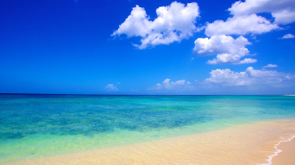 Brighton Beach showing a sandy beach and landscape views