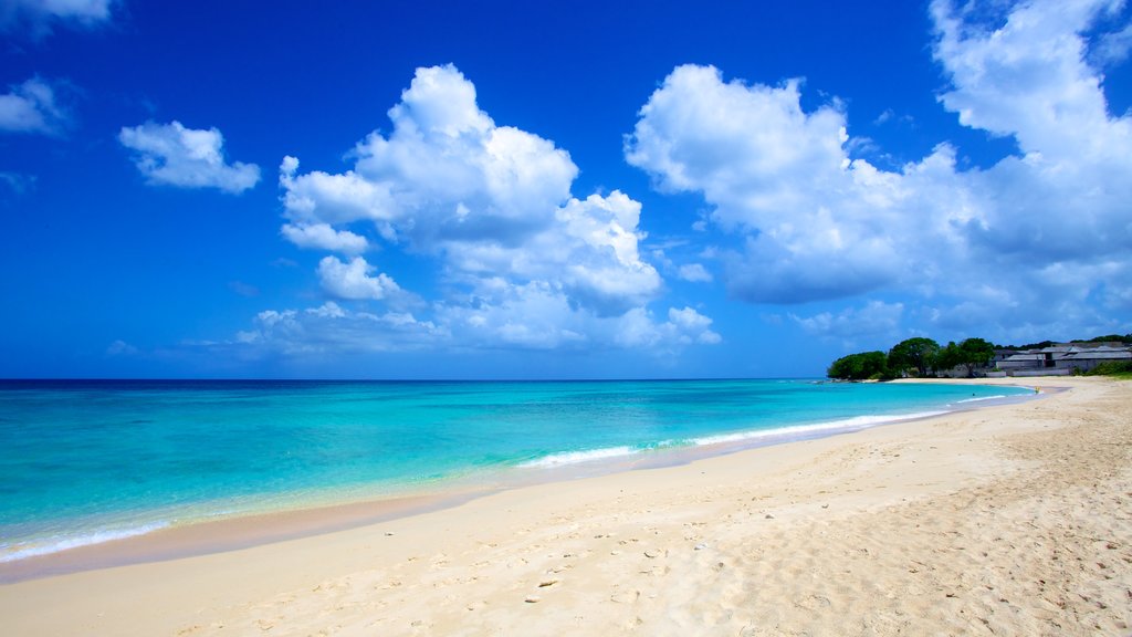 Paradise Beach showing a sandy beach and landscape views