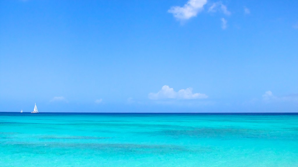 Paradise Beach showing landscape views, tropical scenes and sailing