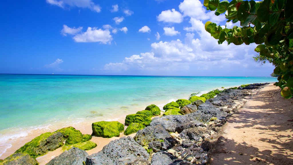 Paradise Beach showing a beach and landscape views