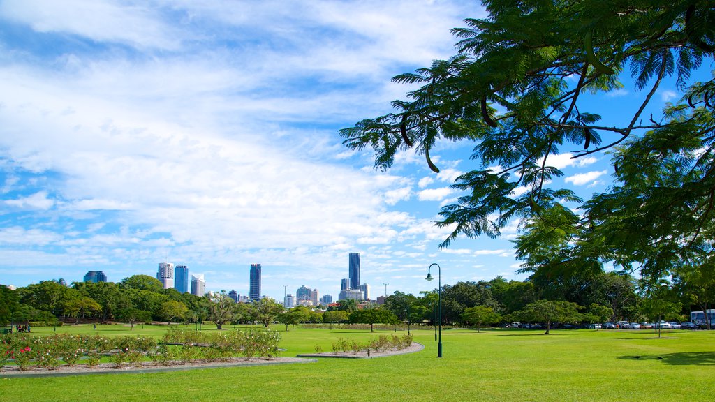 New Farm Park which includes a city, skyline and a park