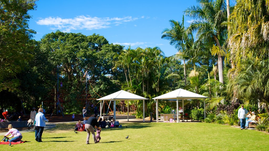 New Farm Park showing a park