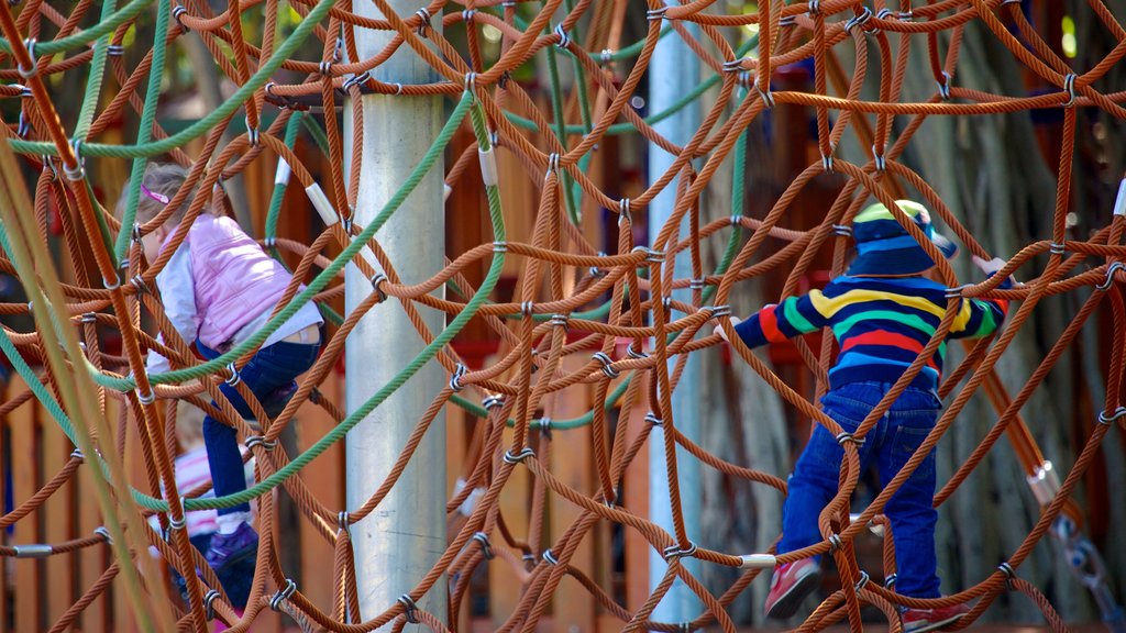 New Farm Park que incluye un parque infantil y también niños