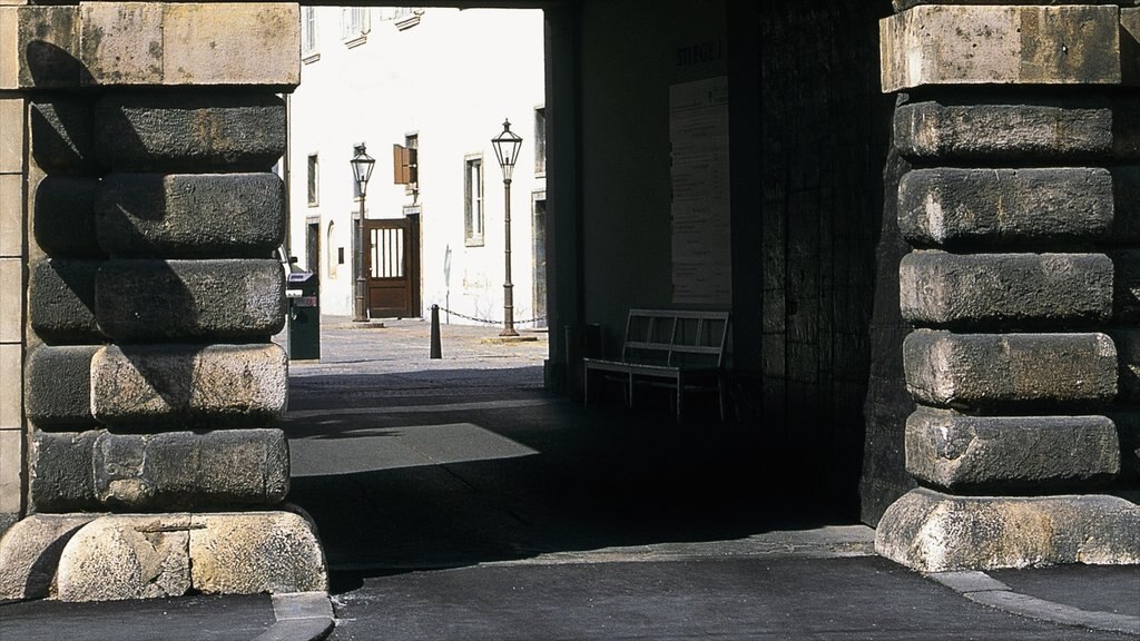 Grazer Burg mostrando um castelo, elementos de patrimônio e arquitetura de patrimônio