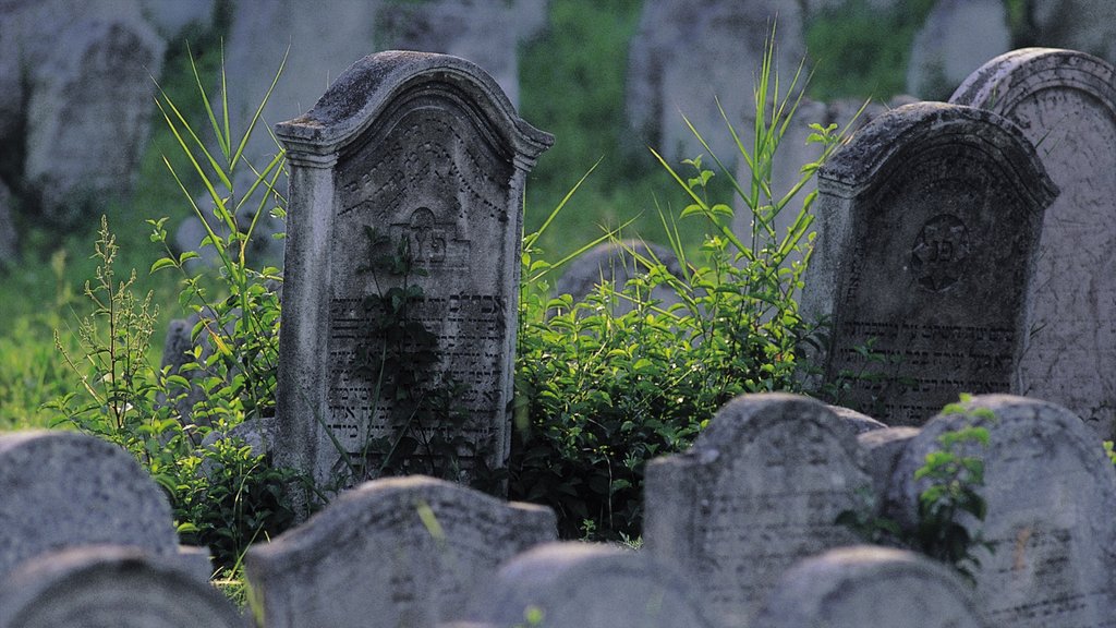 Eisenstadt showing a cemetery