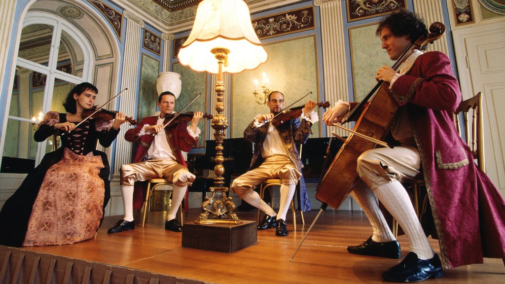 Eisenstadt caracterizando música, arte performática e vistas internas