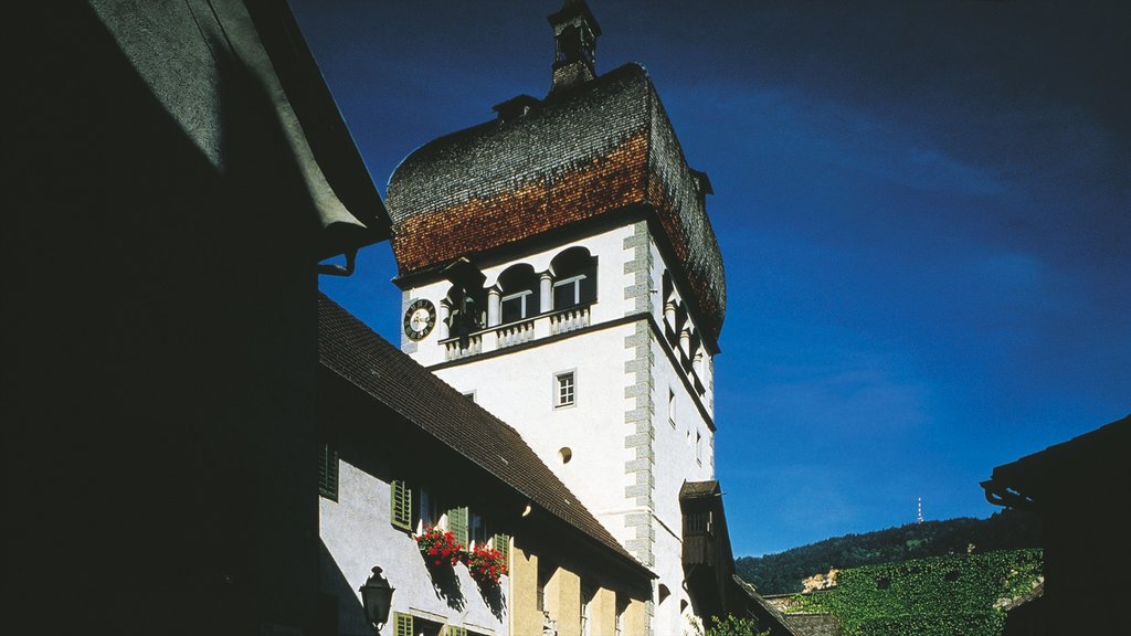 Bregenz que incluye una pequeña ciudad o pueblo, escenas nocturnas y patrimonio de arquitectura