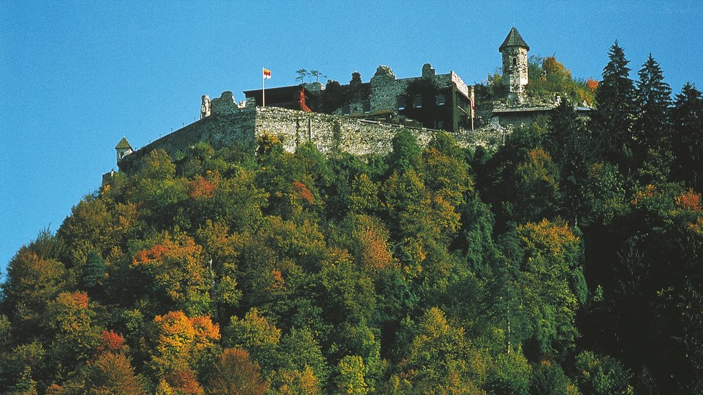 Villach showing a castle, forests and heritage elements