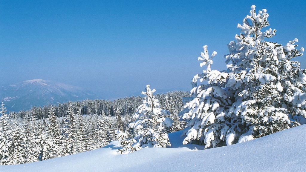 Villach ofreciendo nieve, escenas forestales y vistas de paisajes