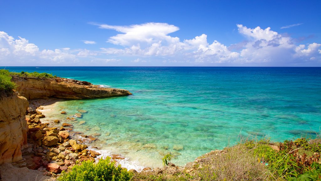 Cupecoy Beach which includes general coastal views, tropical scenes and rocky coastline