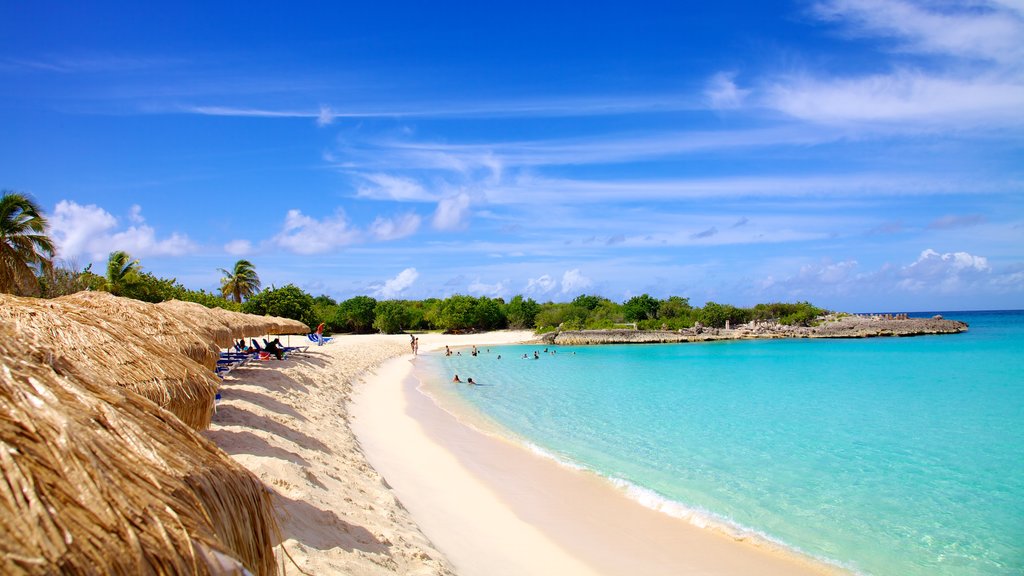 Mullet Beach showing swimming, tropical scenes and a luxury hotel or resort