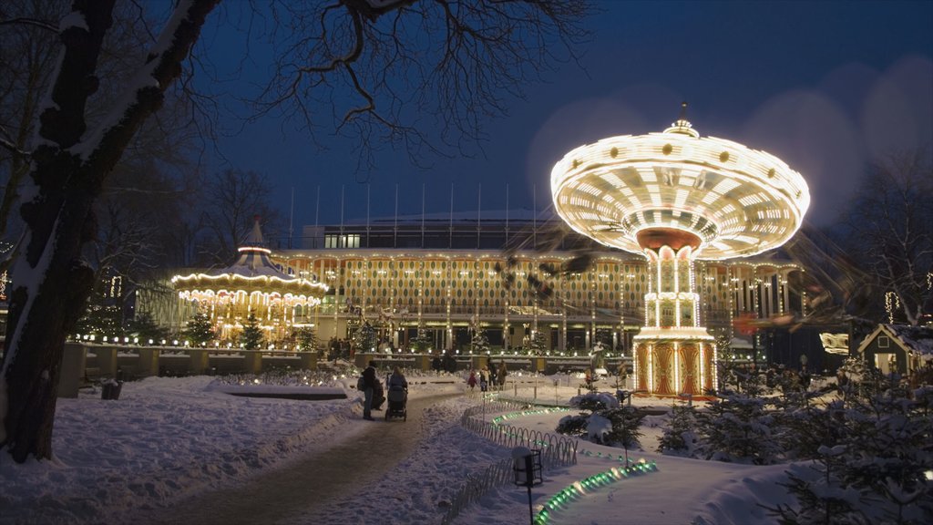 Copenhague mostrando paseos, escenas nocturnas y vida nocturna