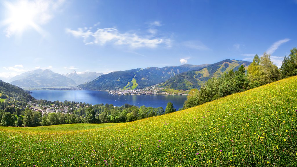 Zell am See showing a lake or waterhole, mountains and wild flowers