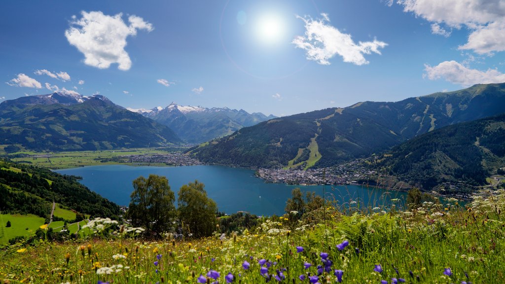 Zell am See mostrando flores, montañas y un lago o espejo de agua