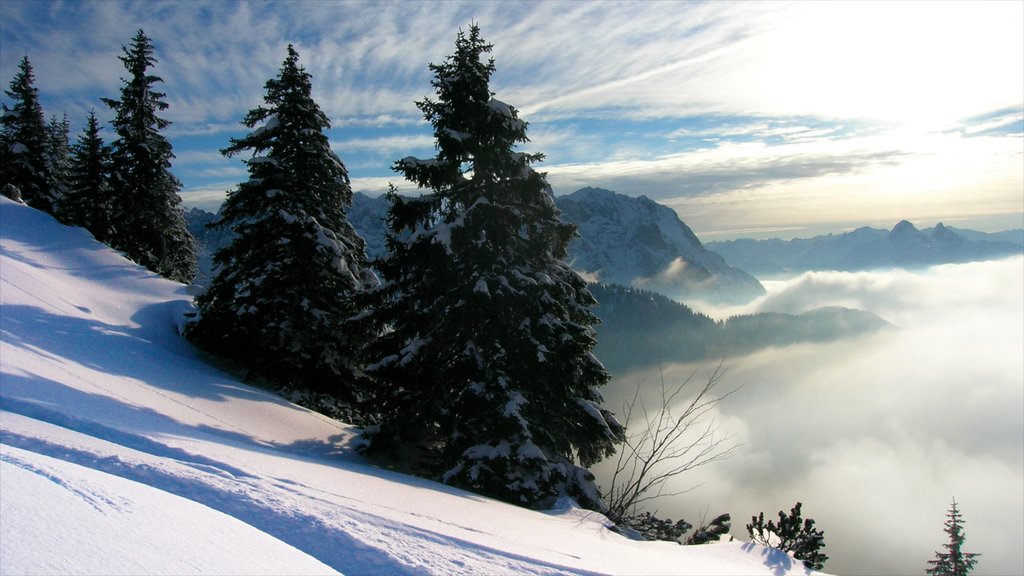 Seefeld in Tirol mostrando montagna, neve e vista del paesaggio