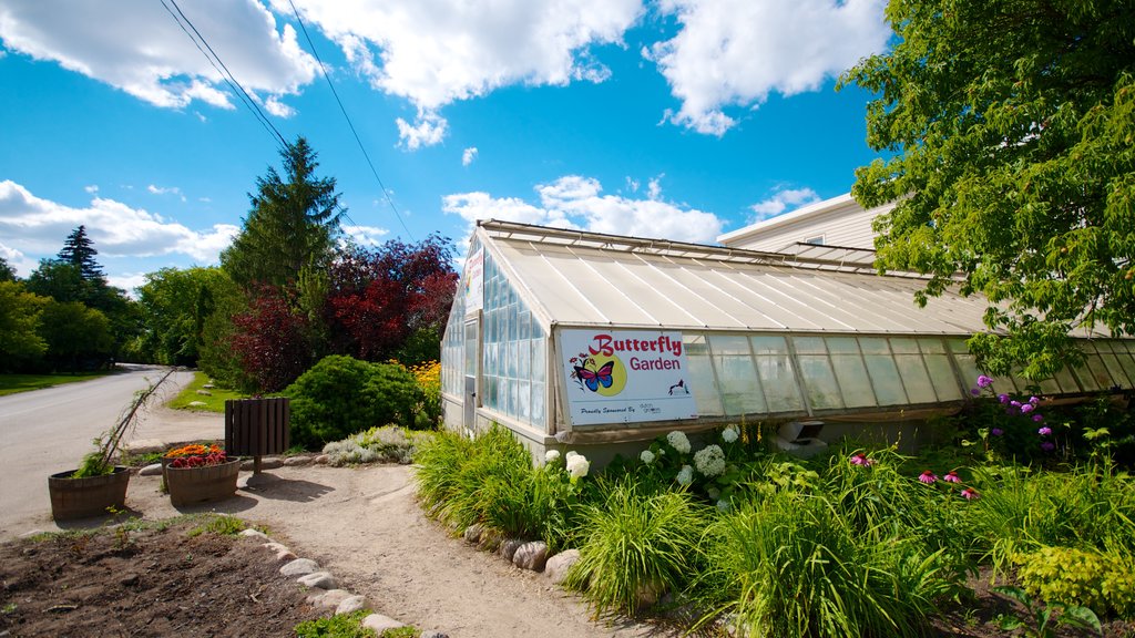 Saskatoon que incluye jardín y animales de zoológico