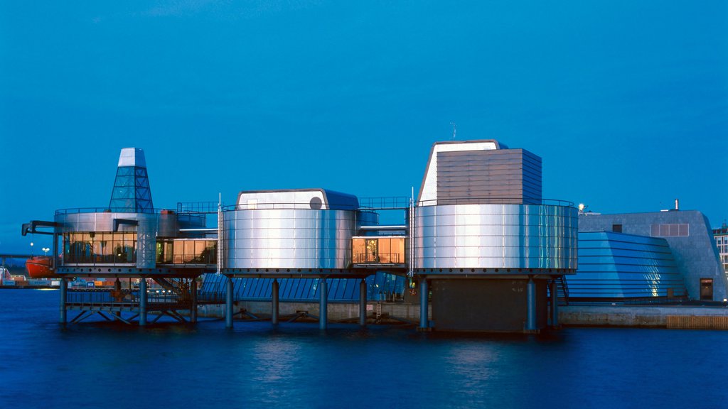 Norwegian Petroleum Museum showing modern architecture, a city and a coastal town