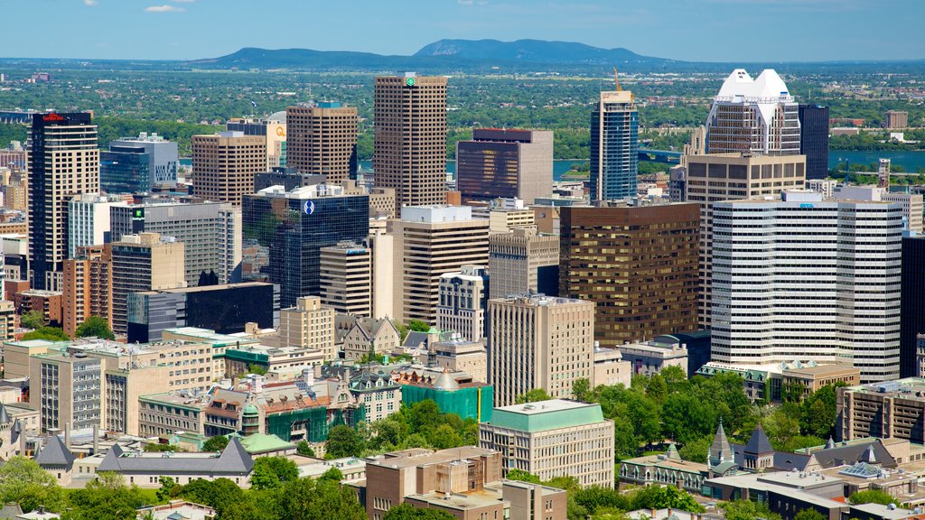 Mount Royal Park som inkluderar affärsdistrikt, skyline och en skyskrapa