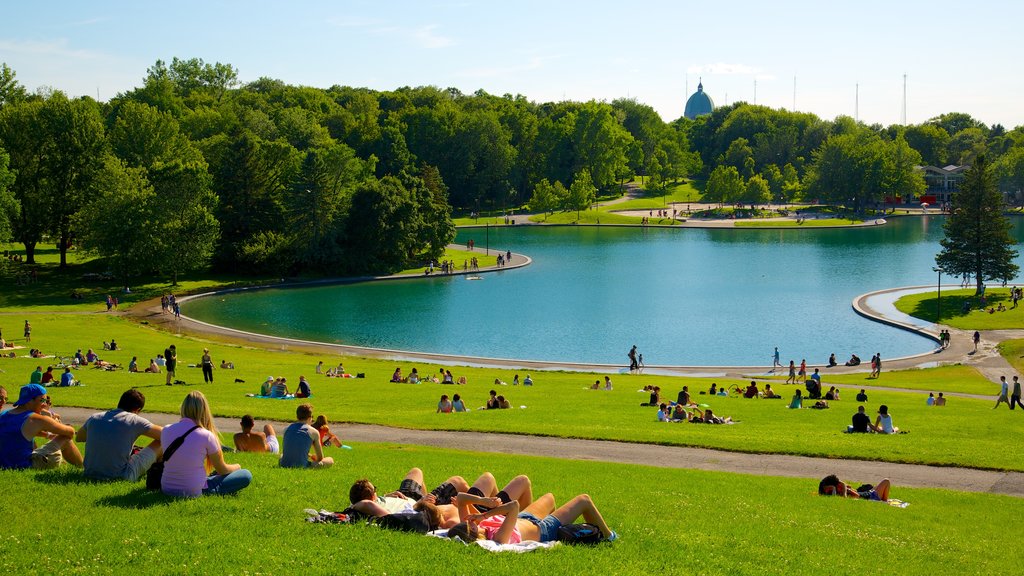 Mount Royal Park showing a pond, a city and landscape views