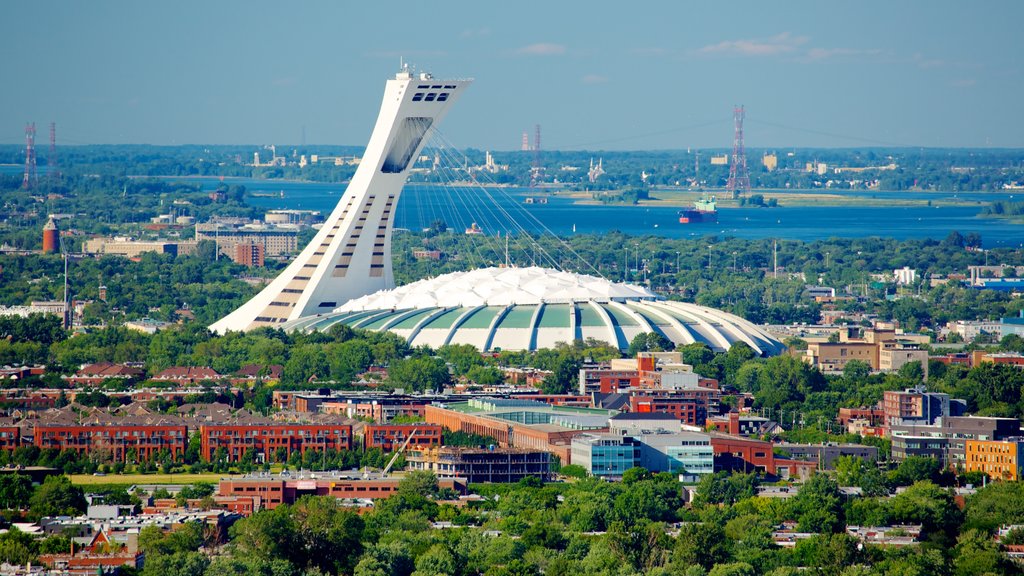 Mount Royal Park which includes a city, modern architecture and landscape views