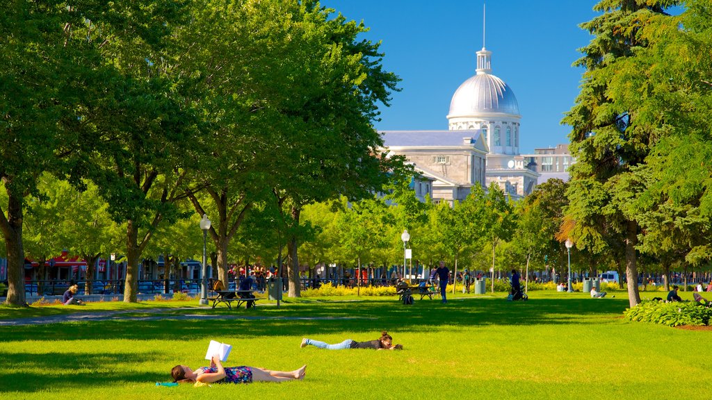 Bonsecours Market showing a garden, picnicing and a city