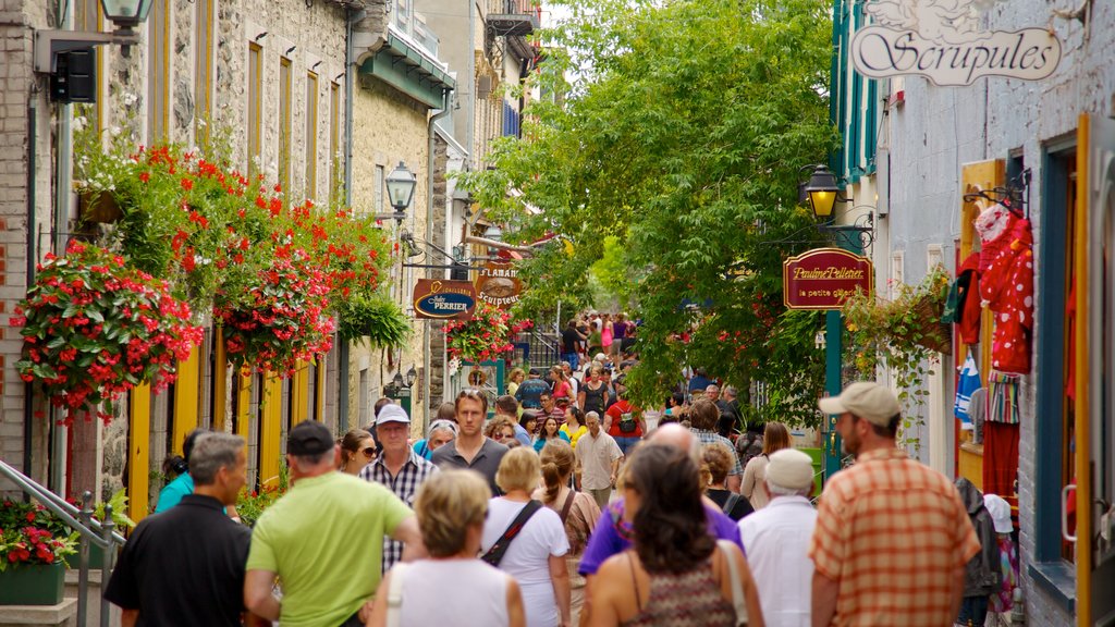 Barrio Petit Champlain ofreciendo compras, escenas urbanas y una ciudad