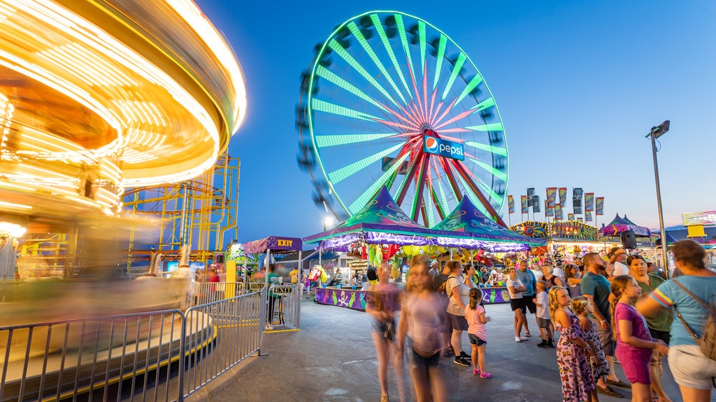 Jolly Roger at the Pier featuring rides and night scenes as well as a large group of people