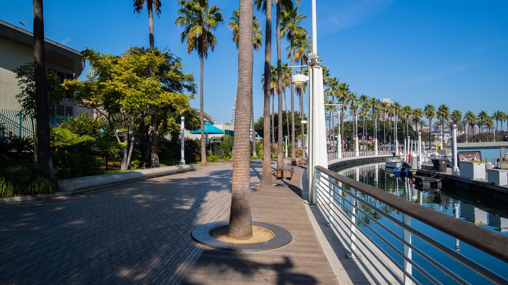 Aquarium of the Pacific which includes a bay or harbour