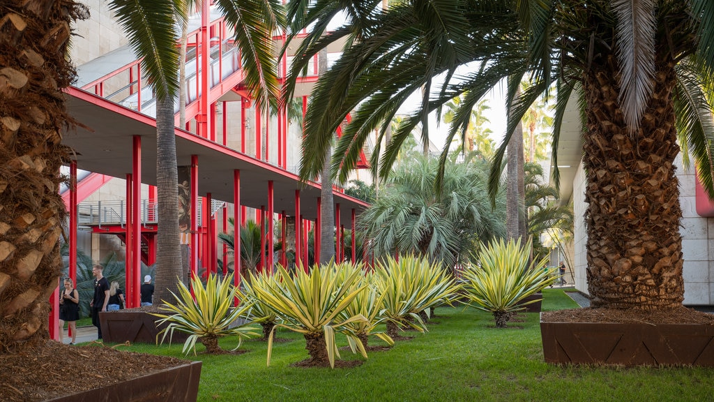 Los Angeles County Museum of Art mettant en vedette jardin