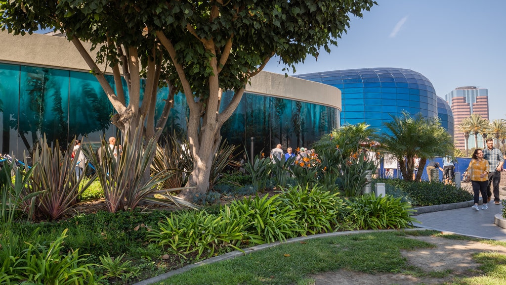 Aquarium of the Pacific which includes a park