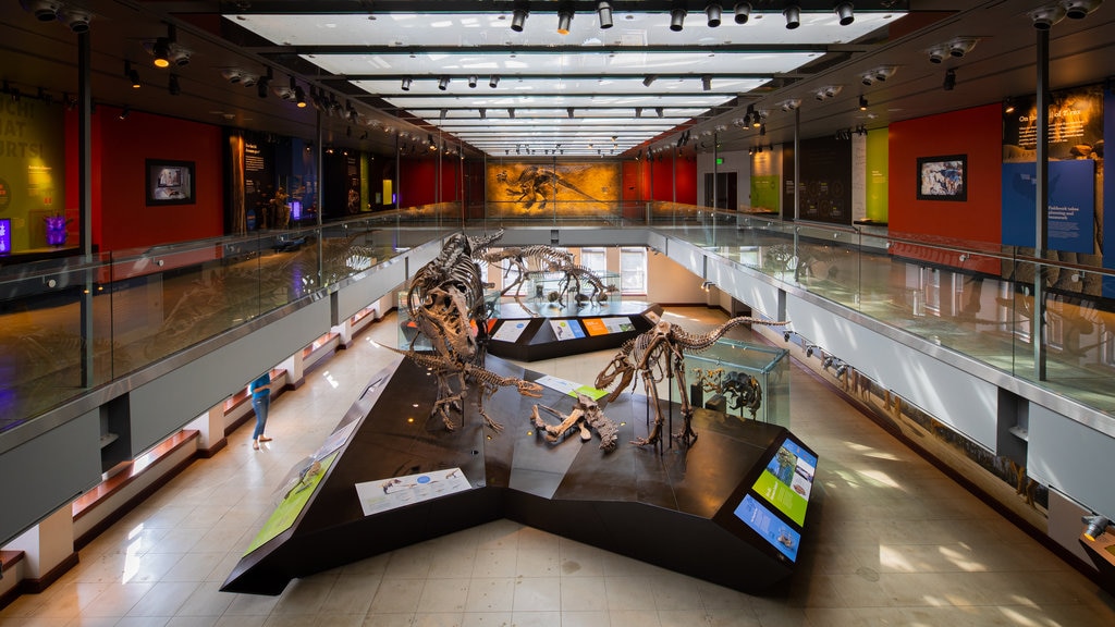 Museo de Historia Natural del Condado de Los Ángeles que incluye elementos del patrimonio y vistas interiores