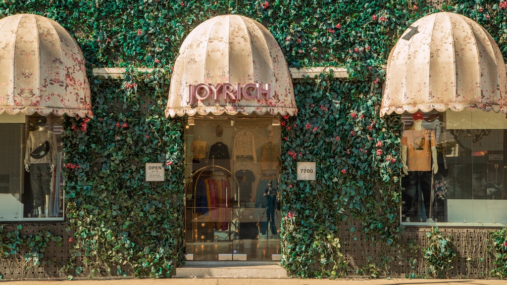 Avenida Melrose que incluye señalización y flores silvestres