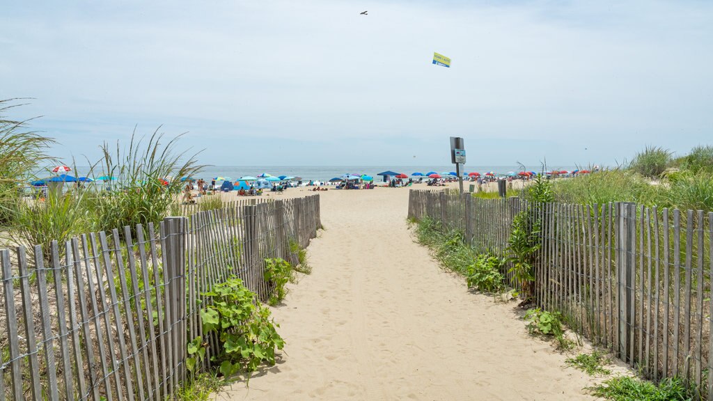 Ocean City Beach mostrando una playa y vistas generales de la costa