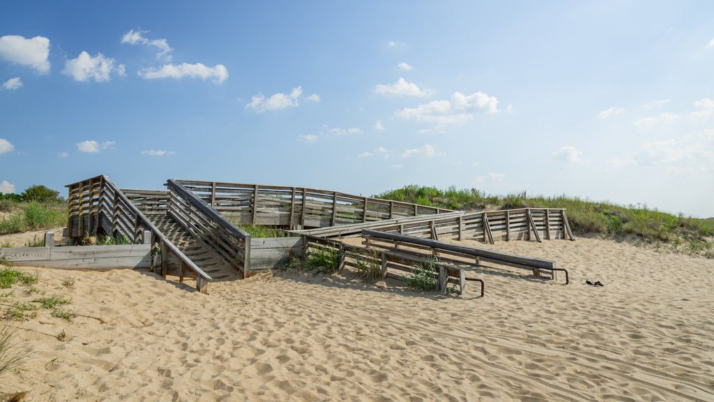 First Landing State Park som visar kustutsikter och en sandstrand