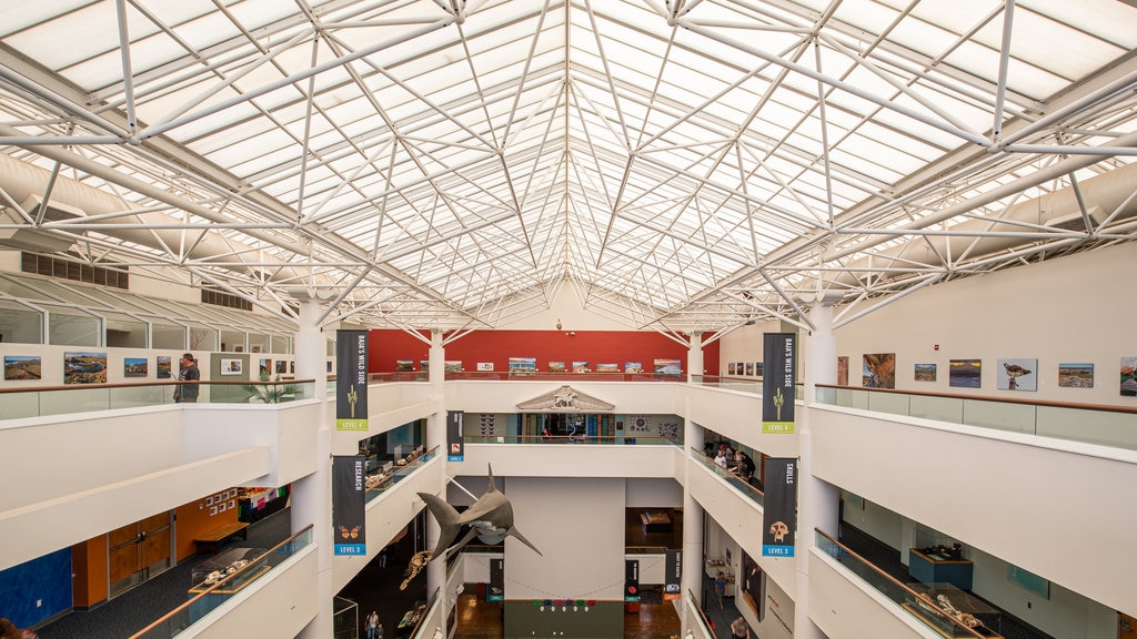 San Diego Natural History Museum featuring interior views