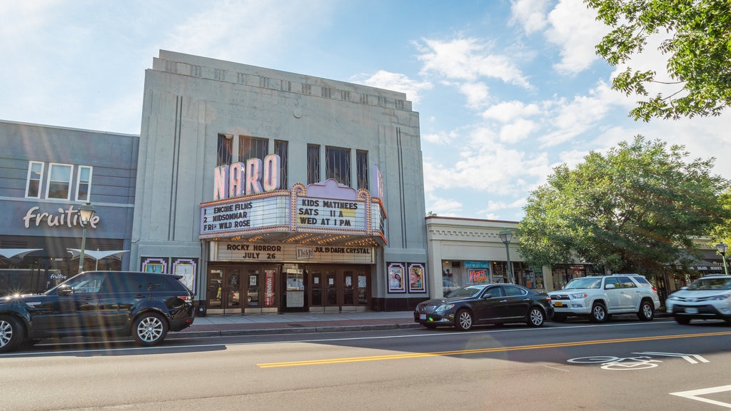 Norfolk featuring signage and theatre scenes