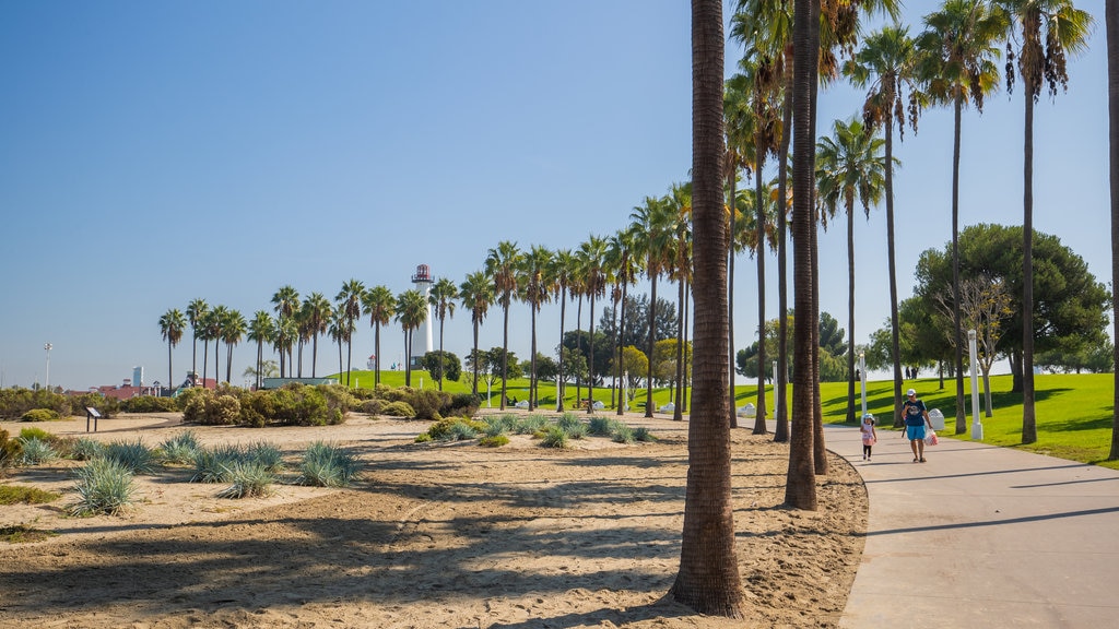 Long Beach mostrando jardín