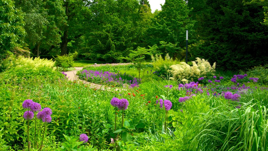 Botanical Gardens which includes wild flowers and a park