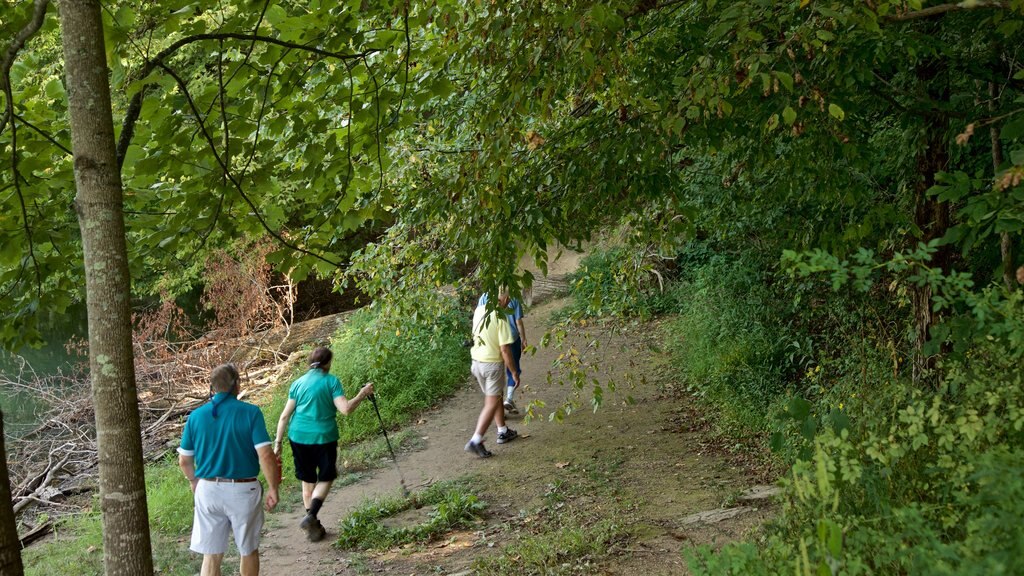 Parque estatal Brown County que incluye bosques y caminatas y también un pequeño grupo de personas