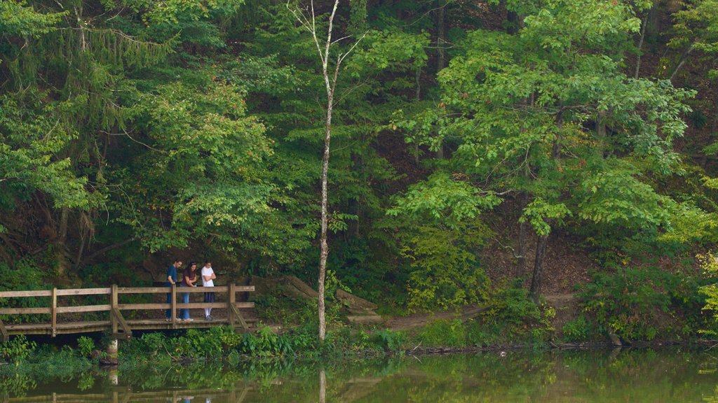 Brown County State Park showing forest scenes and a pond as well as a small group of people