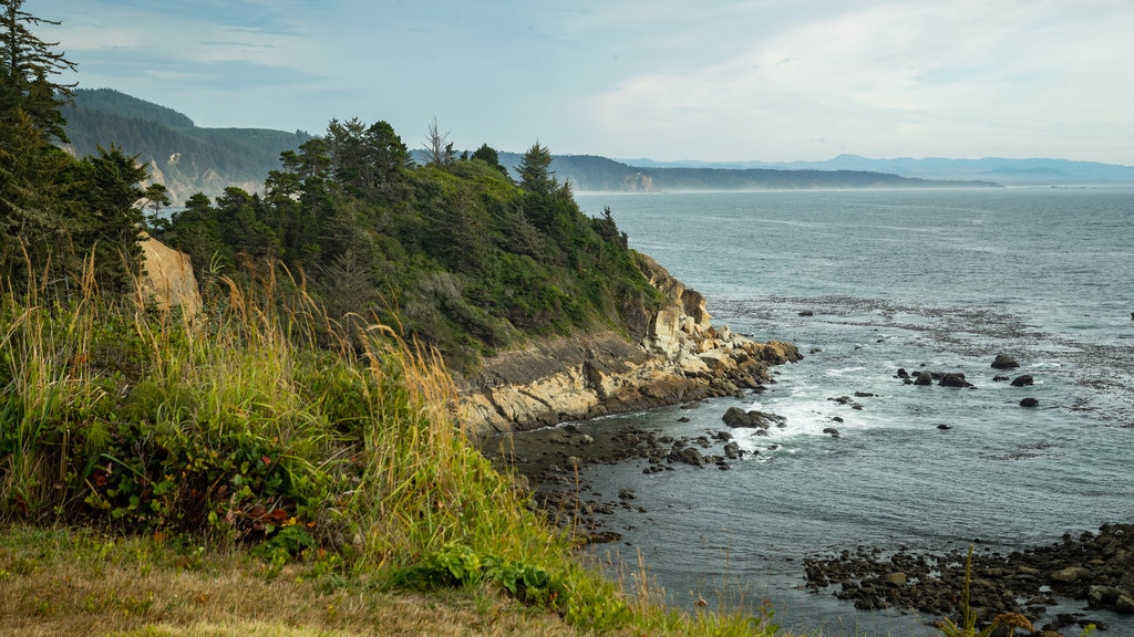 Cape Arago State Park which includes general coastal views and rugged coastline