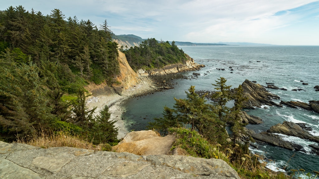 Parc régional de Cape Arago mettant en vedette rochers au bord de la mer et paysages côtiers