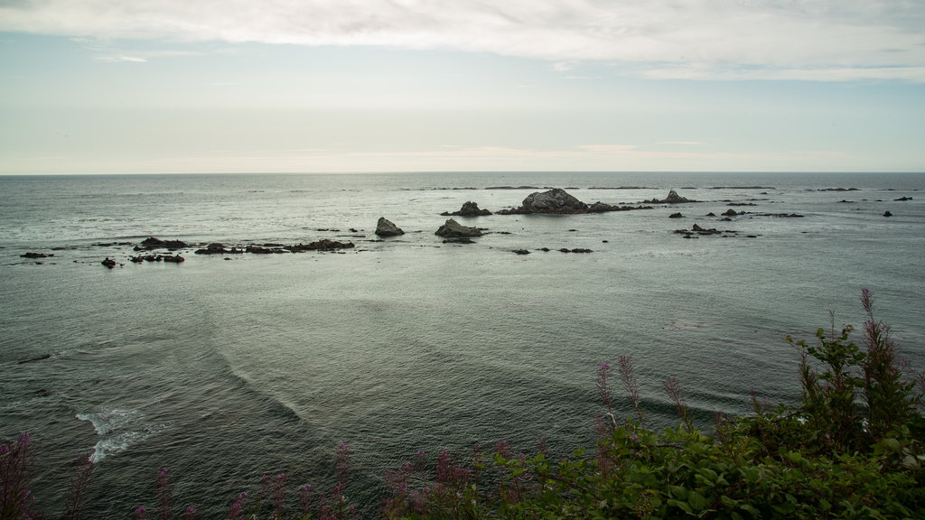 Parque estatal Cape Arago que incluye vista general a la costa