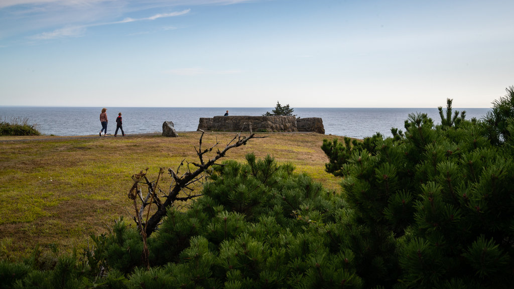 Cape Arago State Park que inclui paisagens litorâneas assim como um casal