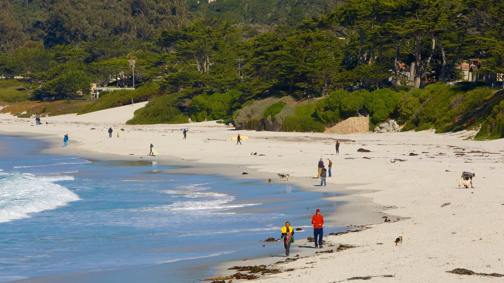 Carmel Beach som viser en strand og udsigt over kystområde